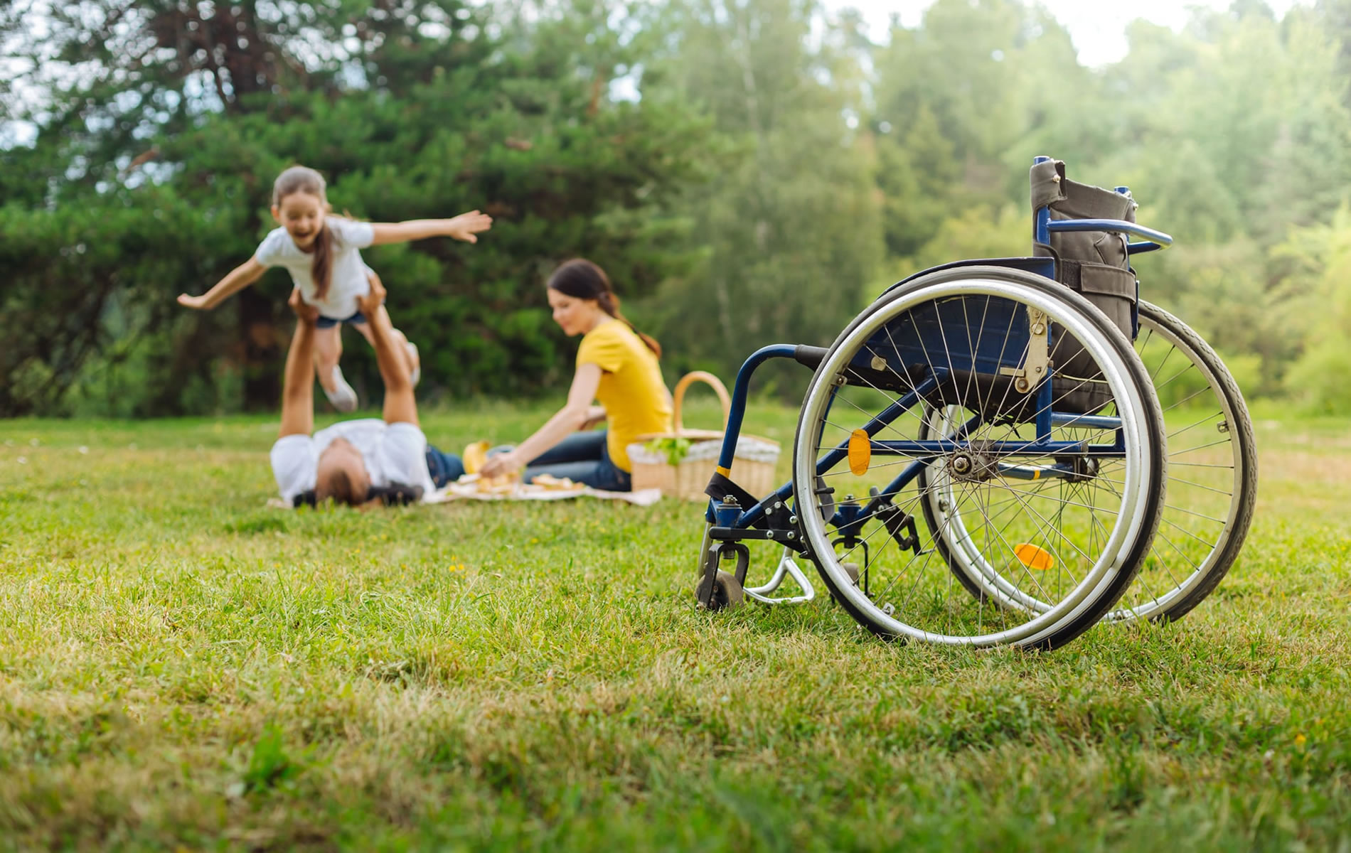 death-and-disability-lion-life